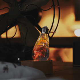 LED Wood Light Base (Style: +Nebula bulb)